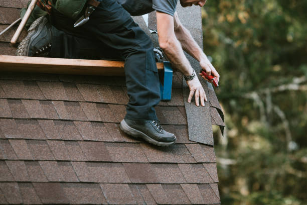 Best Metal Roofing Contractor  in Roanoke, VA